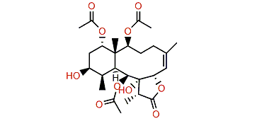 Pachyclavulide A